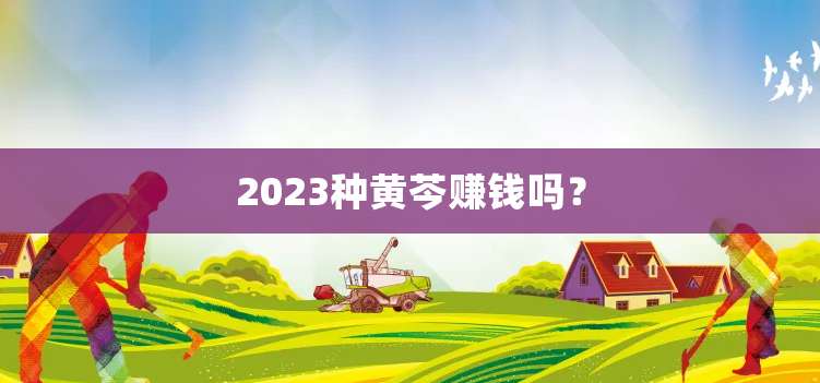 2023种黄芩赚钱吗？